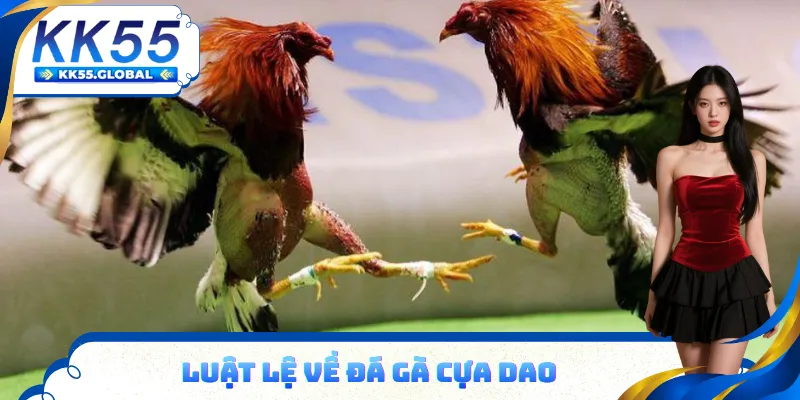 Bạn phải hiểu luật lệ đá gà cựa dao
