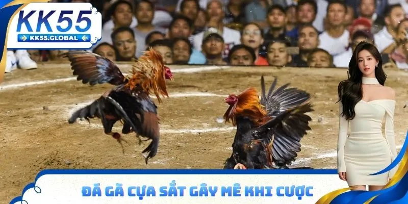 Đá gà cựa sắt kinh nghiệm chơi chuẩn