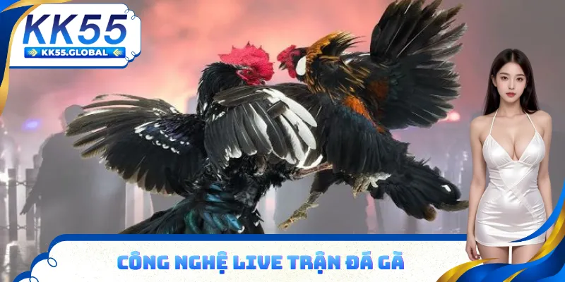 Đặt cược xong xem kết quả qua video đá gà trực tiếp